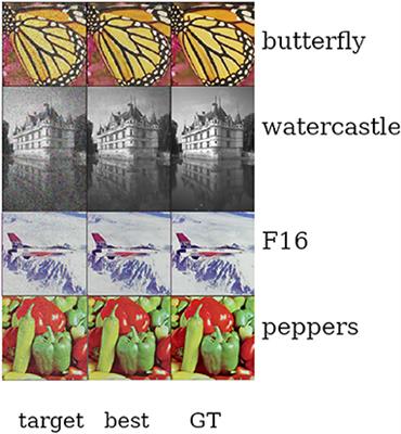 Deep Image Prior for medical image denoising, a study about parameter initialization